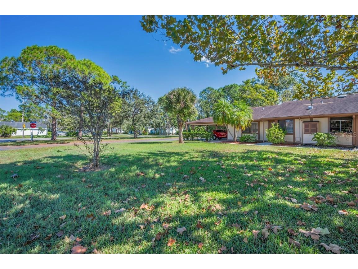 215 Corkwood Lane Oldsmar FL 34677 TB8441702 image48