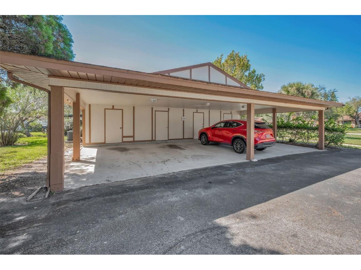 215 Corkwood Lane Oldsmar FL 34677 TB8441702 image49