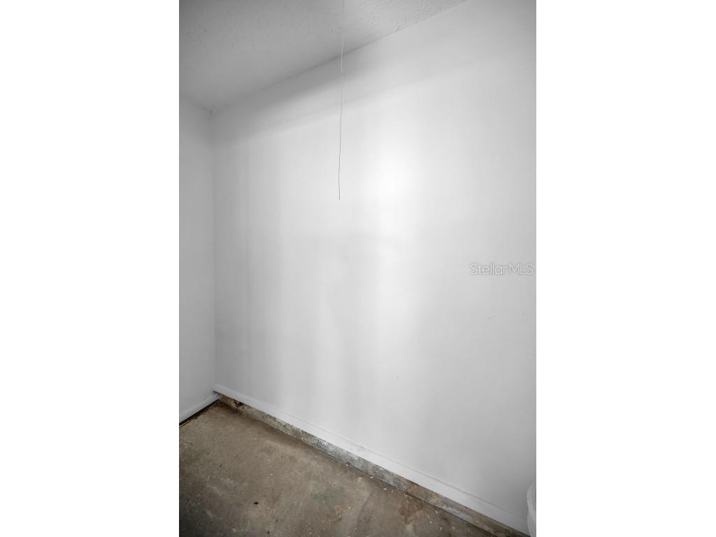 215 Corkwood Lane Oldsmar FL 34677 TB8441702 image50