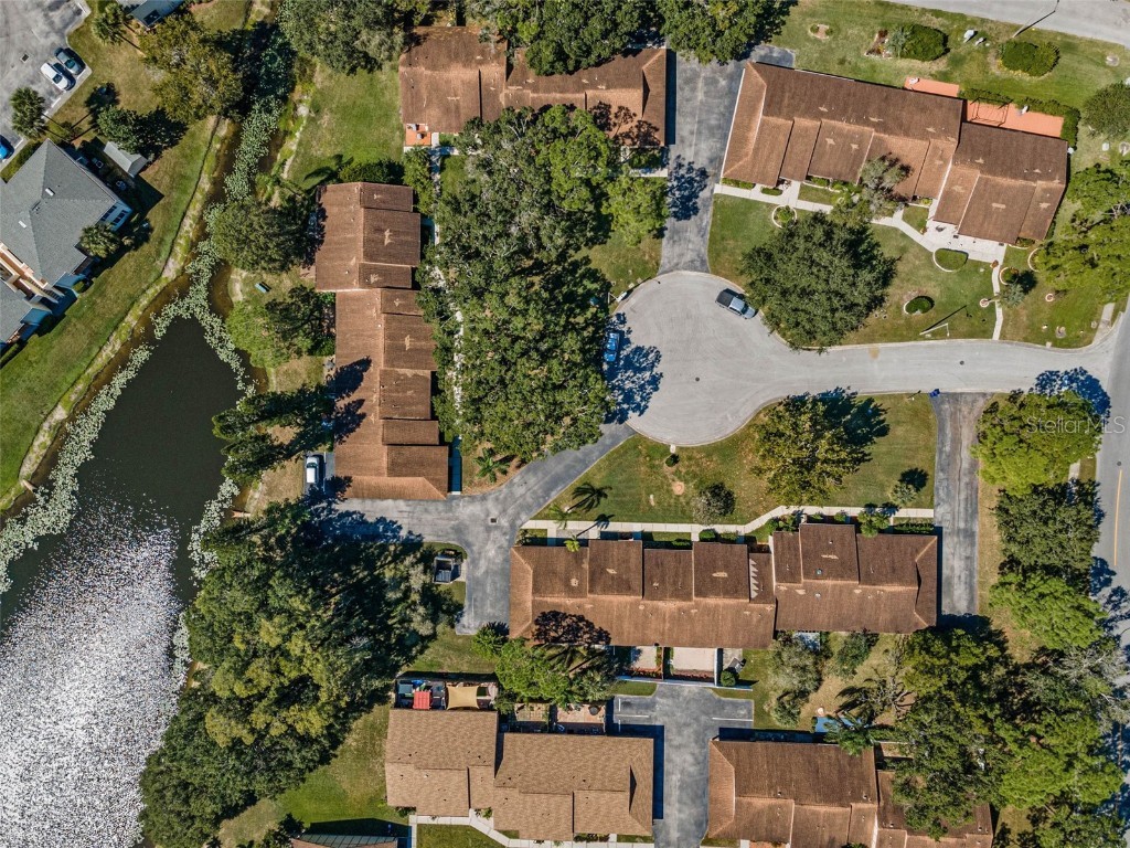 215 Corkwood Lane Oldsmar FL 34677 TB8441702 image53