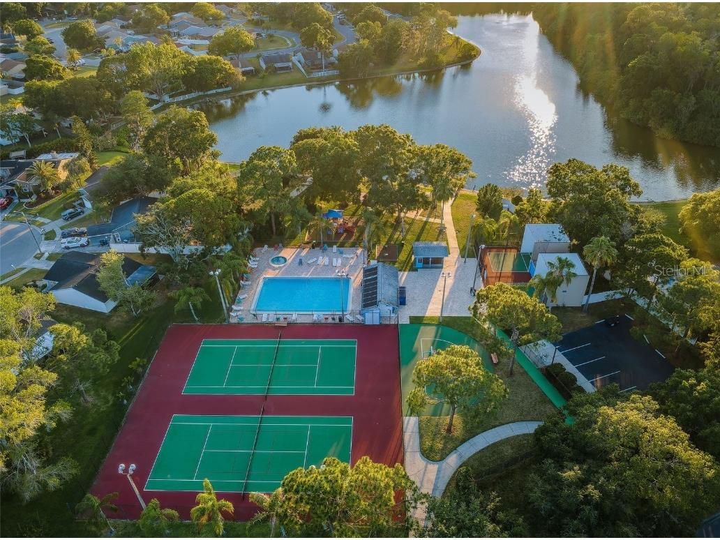 215 Corkwood Lane Oldsmar FL 34677 TB8441702 image54