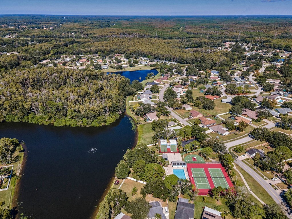 215 Corkwood Lane Oldsmar FL 34677 TB8441702 image55