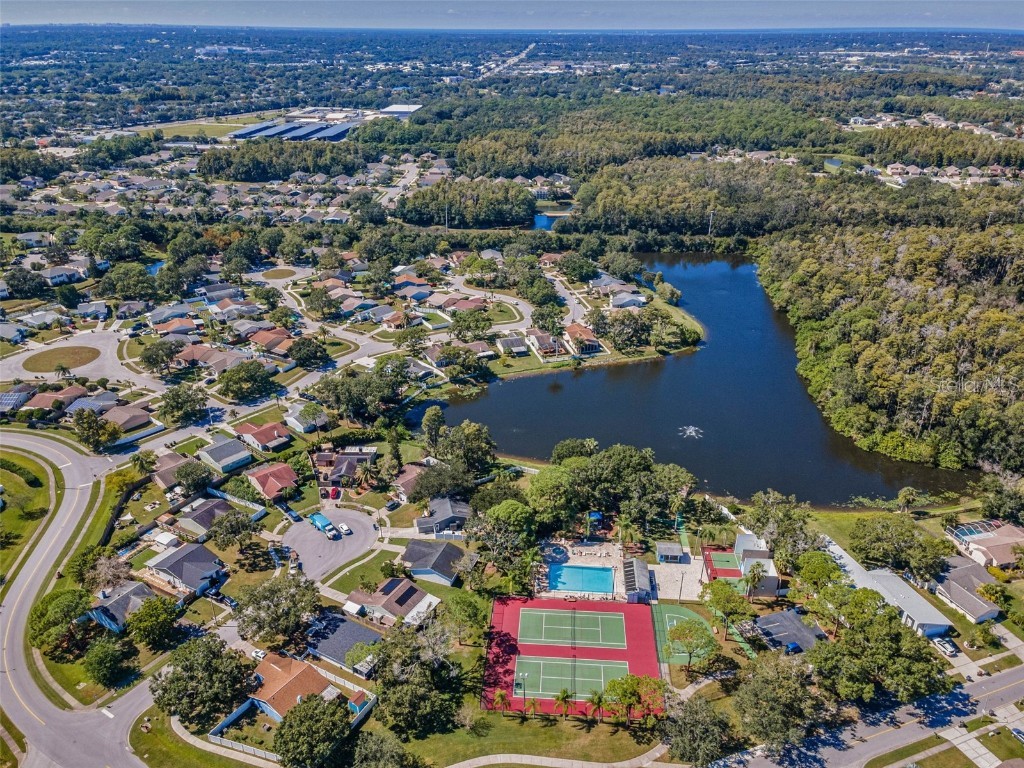 215 Corkwood Lane Oldsmar FL 34677 TB8441702 image56