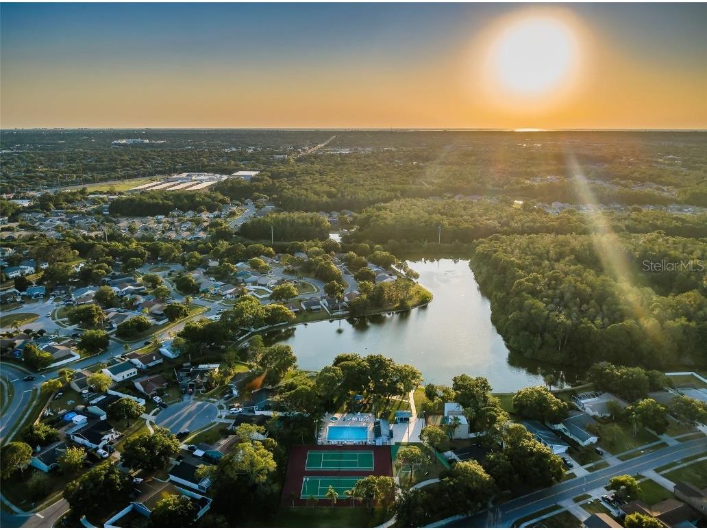 215 Corkwood Lane Oldsmar FL 34677 TB8441702 image57