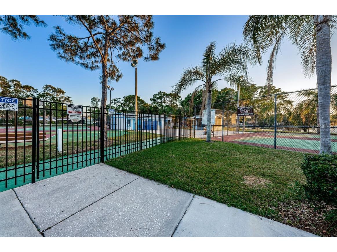 215 Corkwood Lane Oldsmar FL 34677 TB8441702 image59