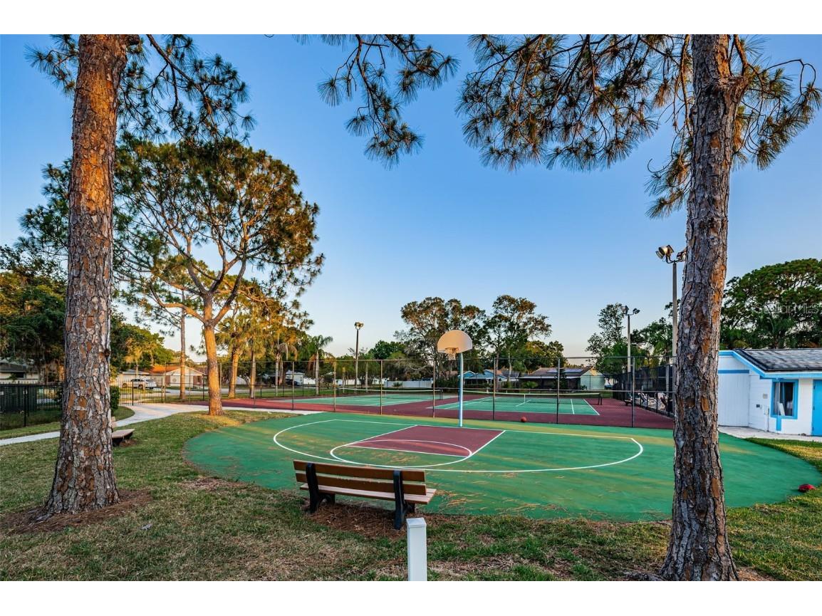 215 Corkwood Lane Oldsmar FL 34677 TB8441702 image60