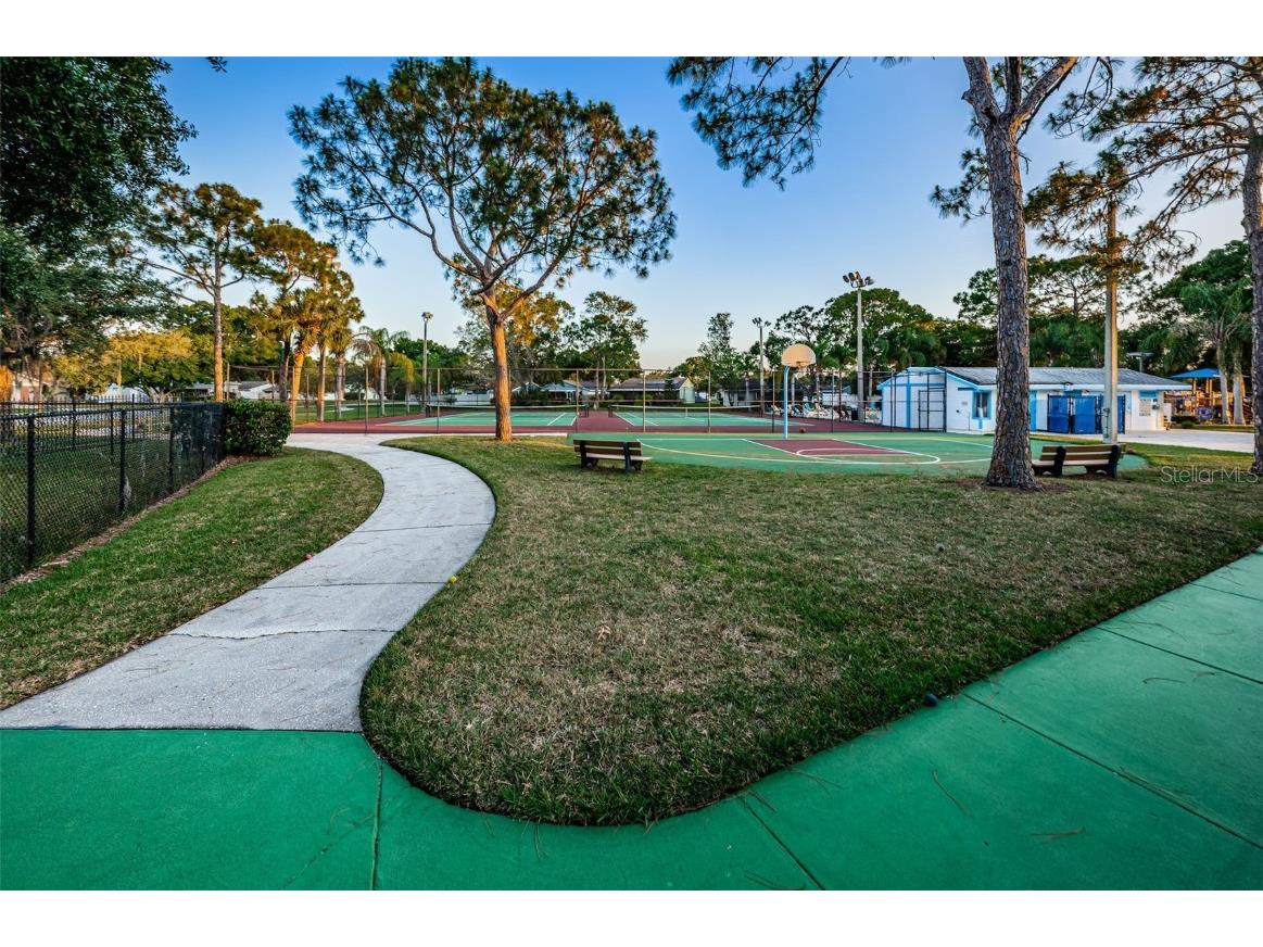 215 Corkwood Lane Oldsmar FL 34677 TB8441702 image62