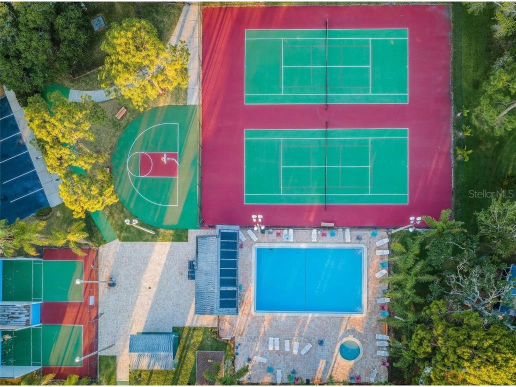 215 Corkwood Lane Oldsmar FL 34677 TB8441702 image63