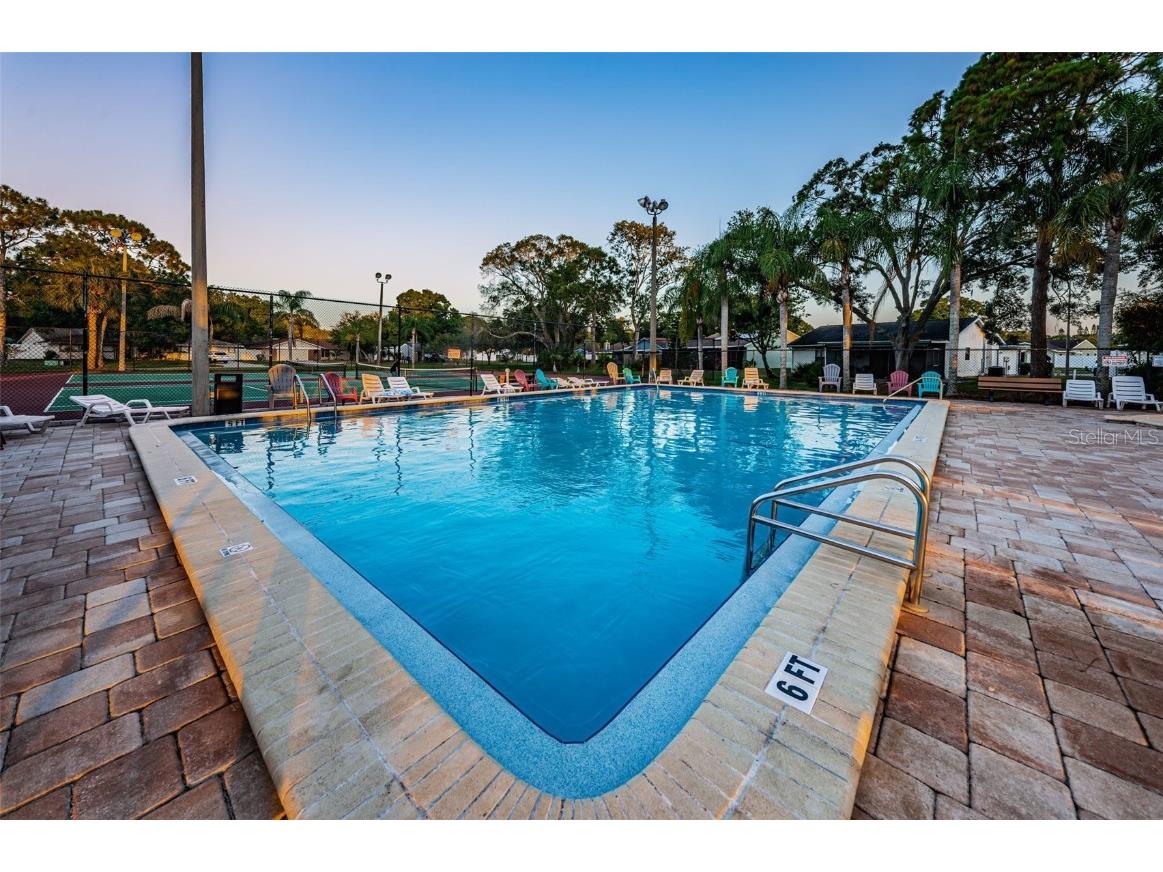 215 Corkwood Lane Oldsmar FL 34677 TB8441702 image66