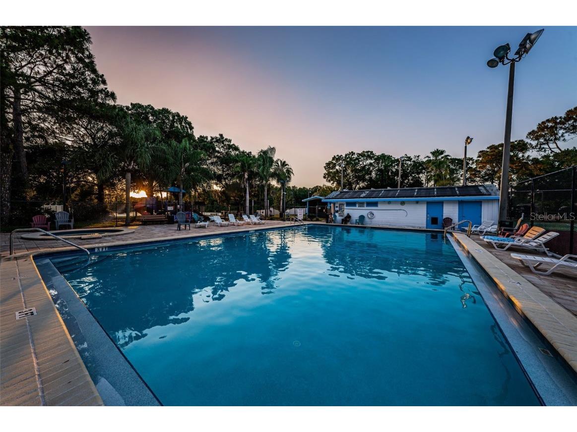 215 Corkwood Lane Oldsmar FL 34677 TB8441702 image69