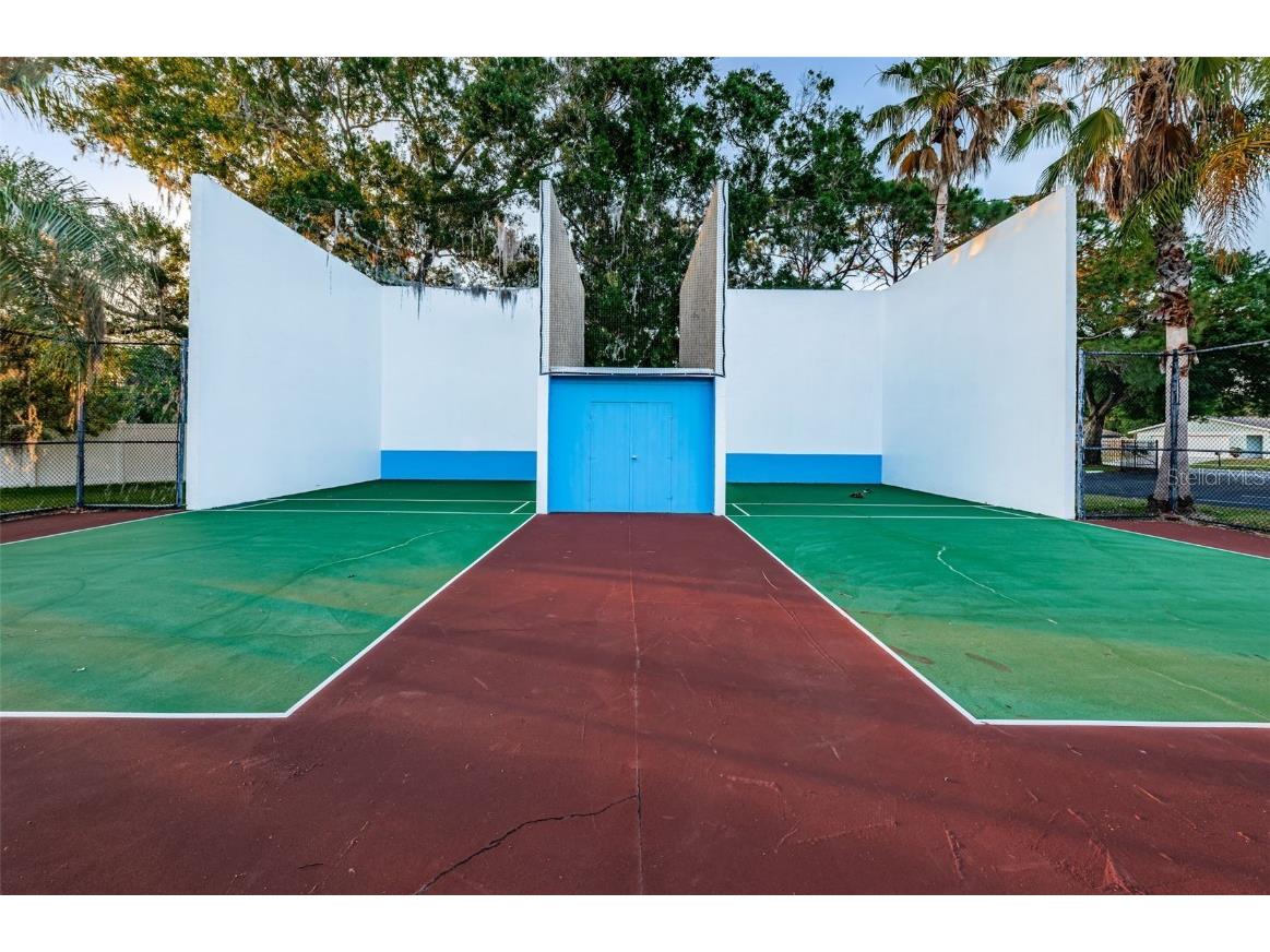 215 Corkwood Lane Oldsmar FL 34677 TB8441702 image73