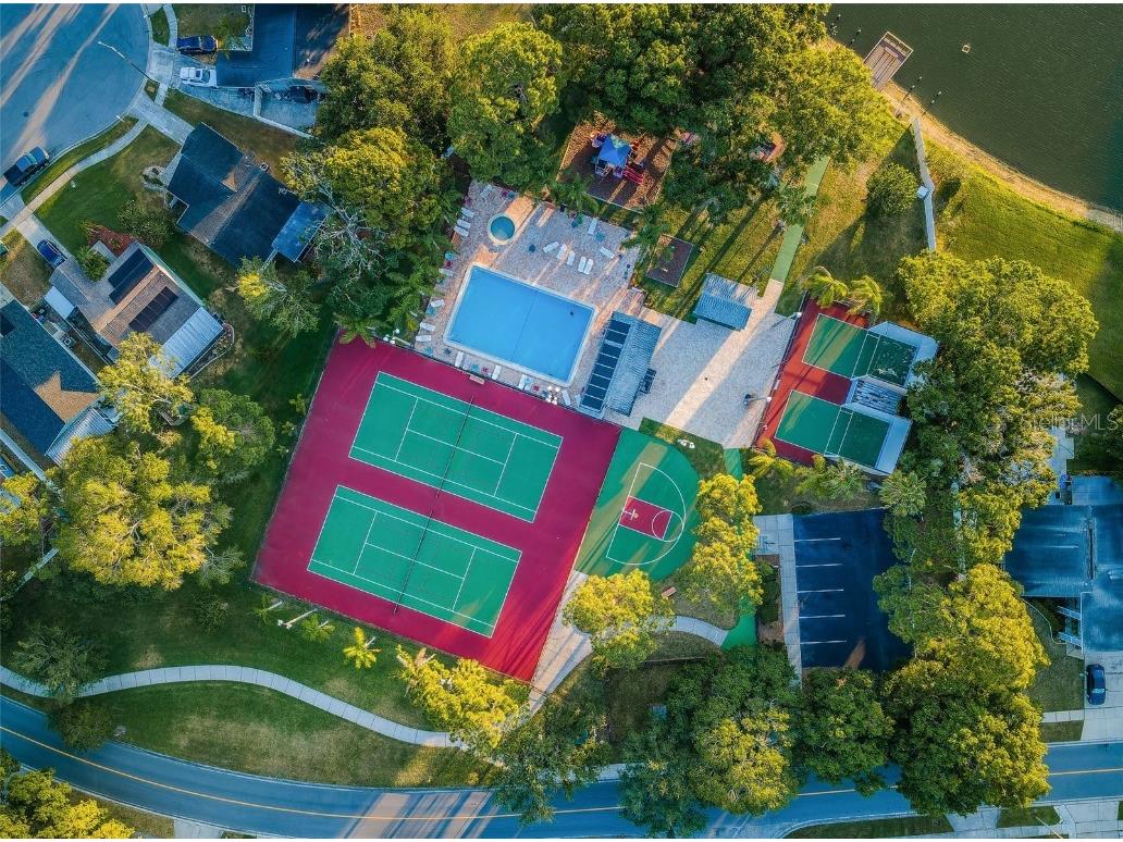 215 Corkwood Lane Oldsmar FL 34677 TB8441702 image74