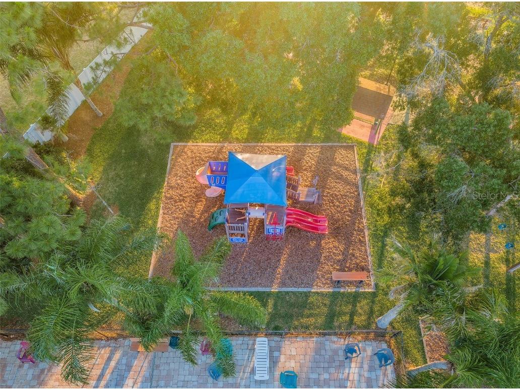 215 Corkwood Lane Oldsmar FL 34677 TB8441702 image75