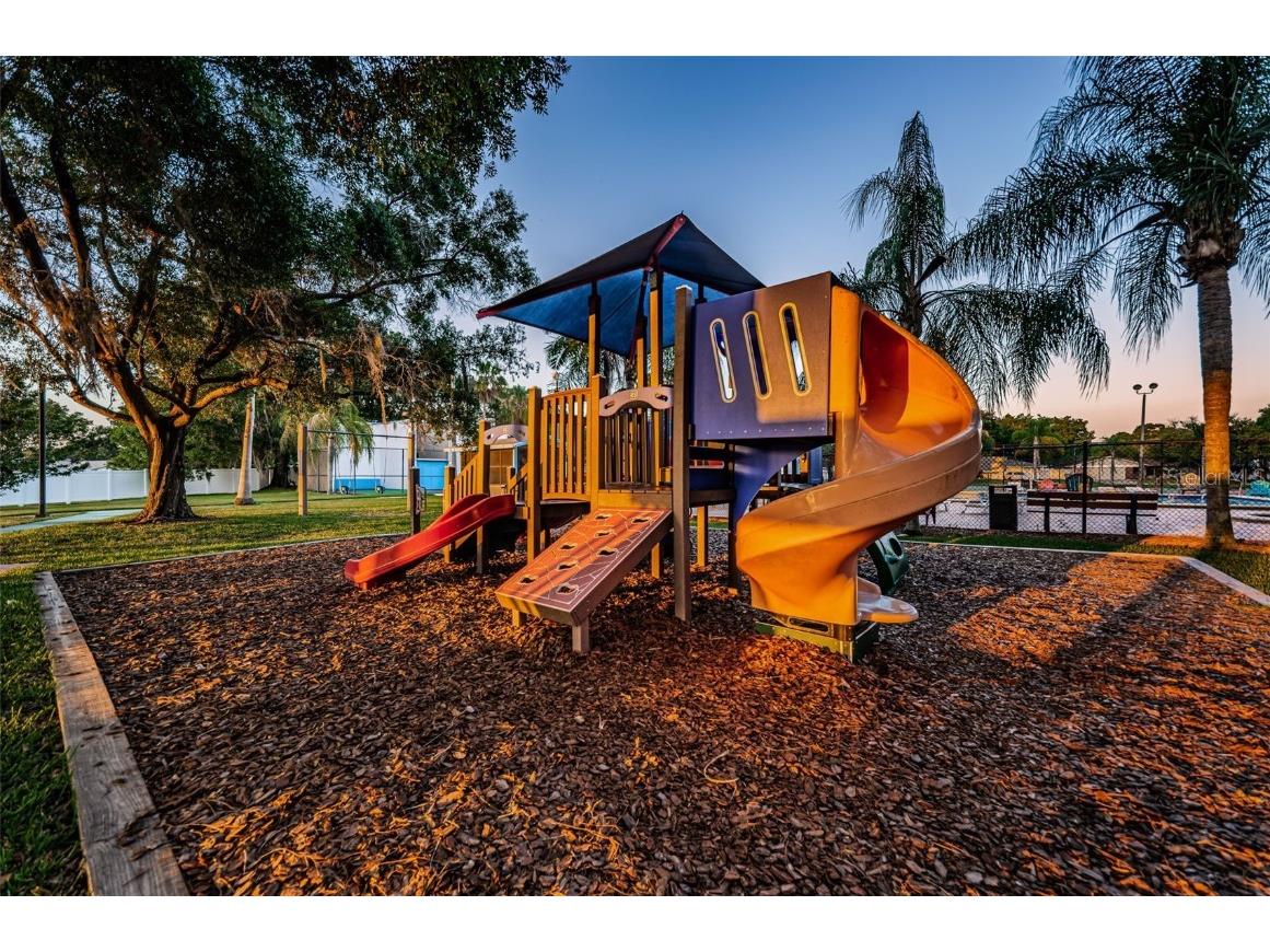 215 Corkwood Lane Oldsmar FL 34677 TB8441702 image77