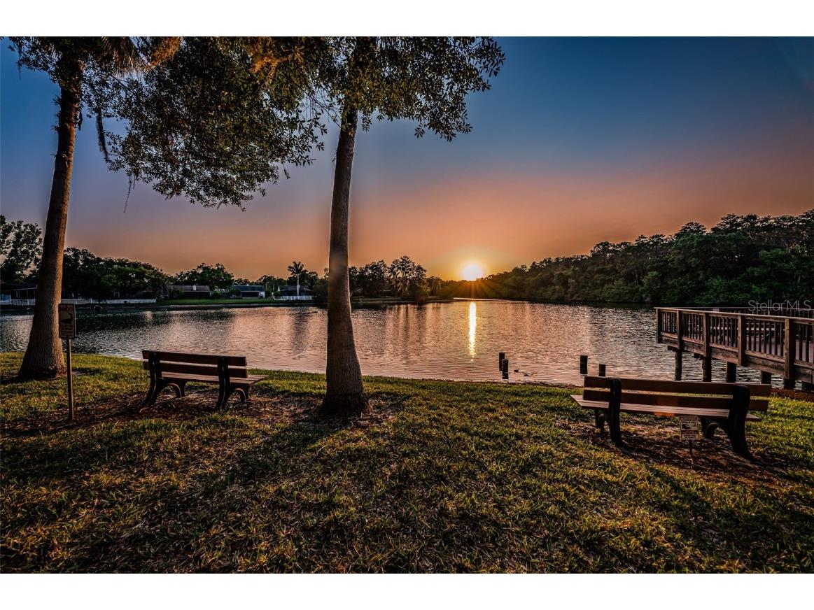 215 Corkwood Lane Oldsmar FL 34677 TB8441702 image78