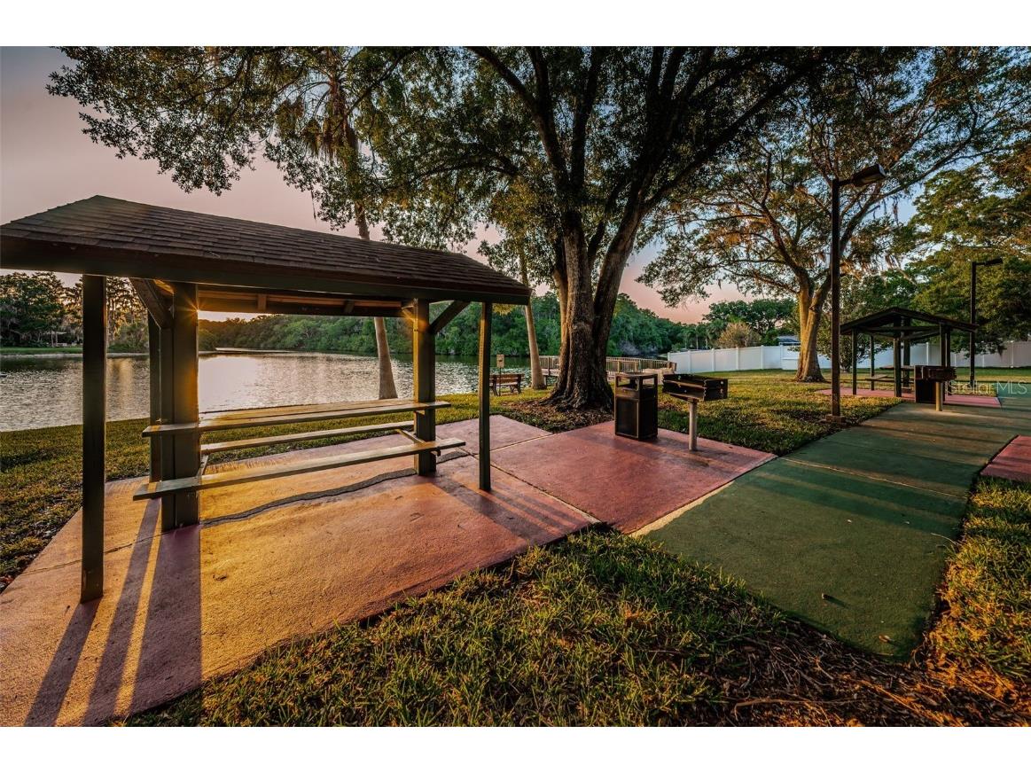 215 Corkwood Lane Oldsmar FL 34677 TB8441702 image79