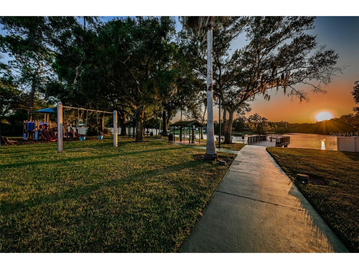 215 Corkwood Lane Oldsmar FL 34677 TB8441702 image80