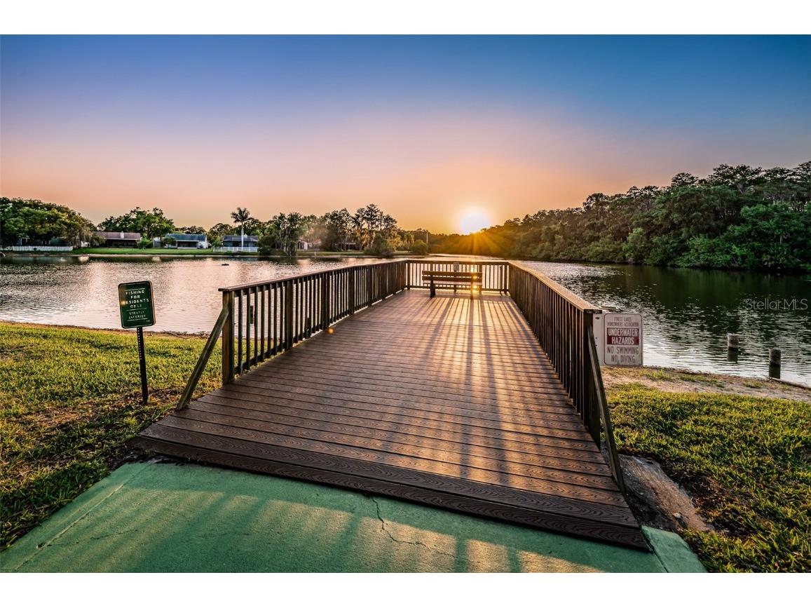 215 Corkwood Lane Oldsmar FL 34677 TB8441702 image82