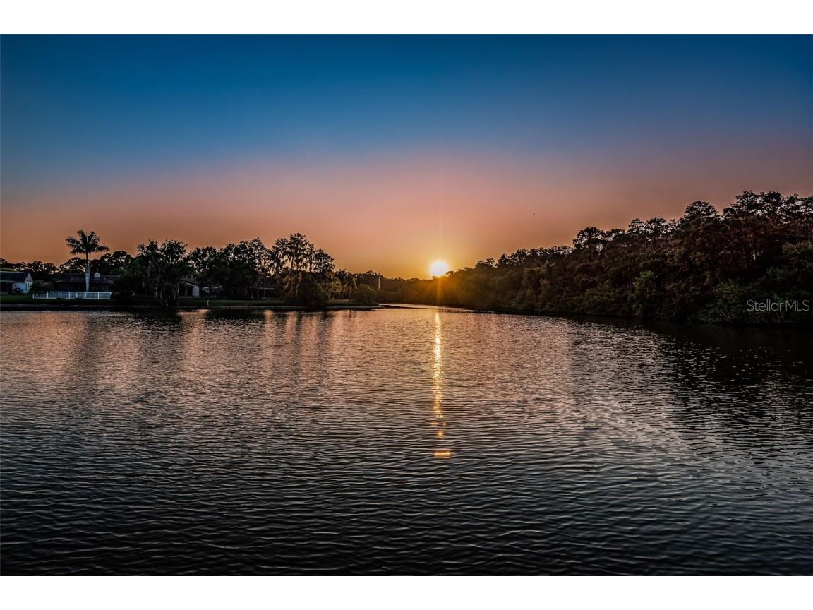 215 Corkwood Lane Oldsmar FL 34677 TB8441702 image83