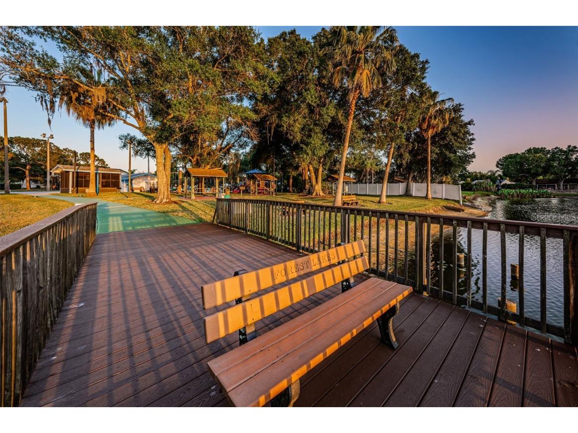 215 Corkwood Lane Oldsmar FL 34677 TB8441702 image86