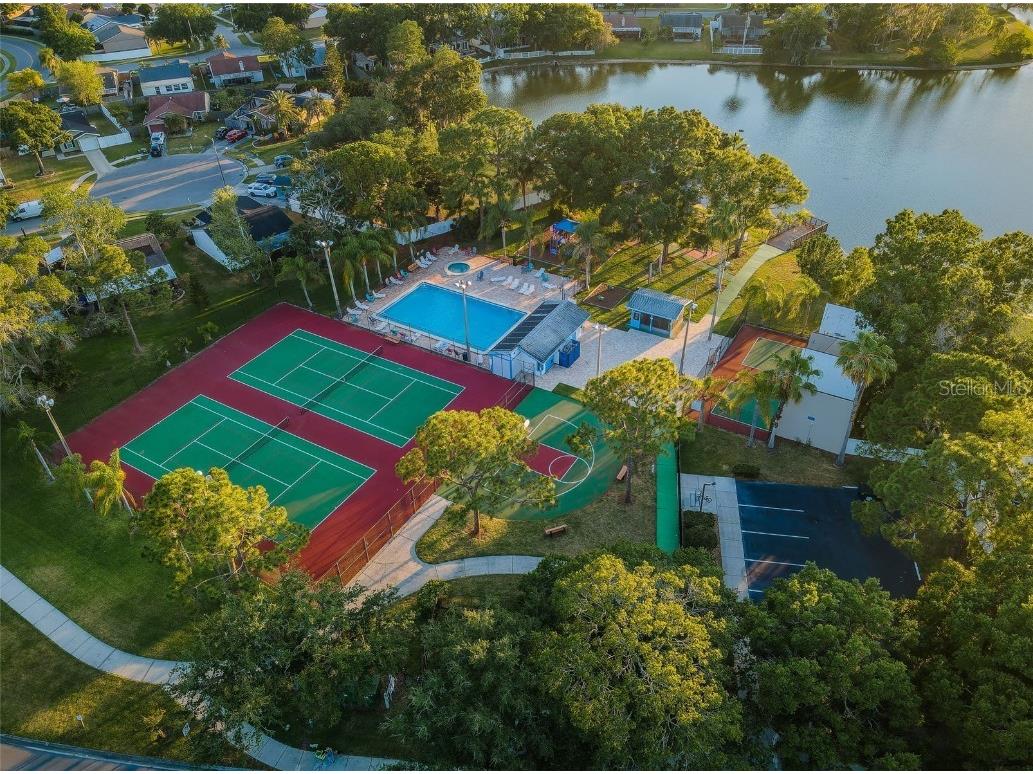 215 Corkwood Lane Oldsmar FL 34677 TB8441702 image87