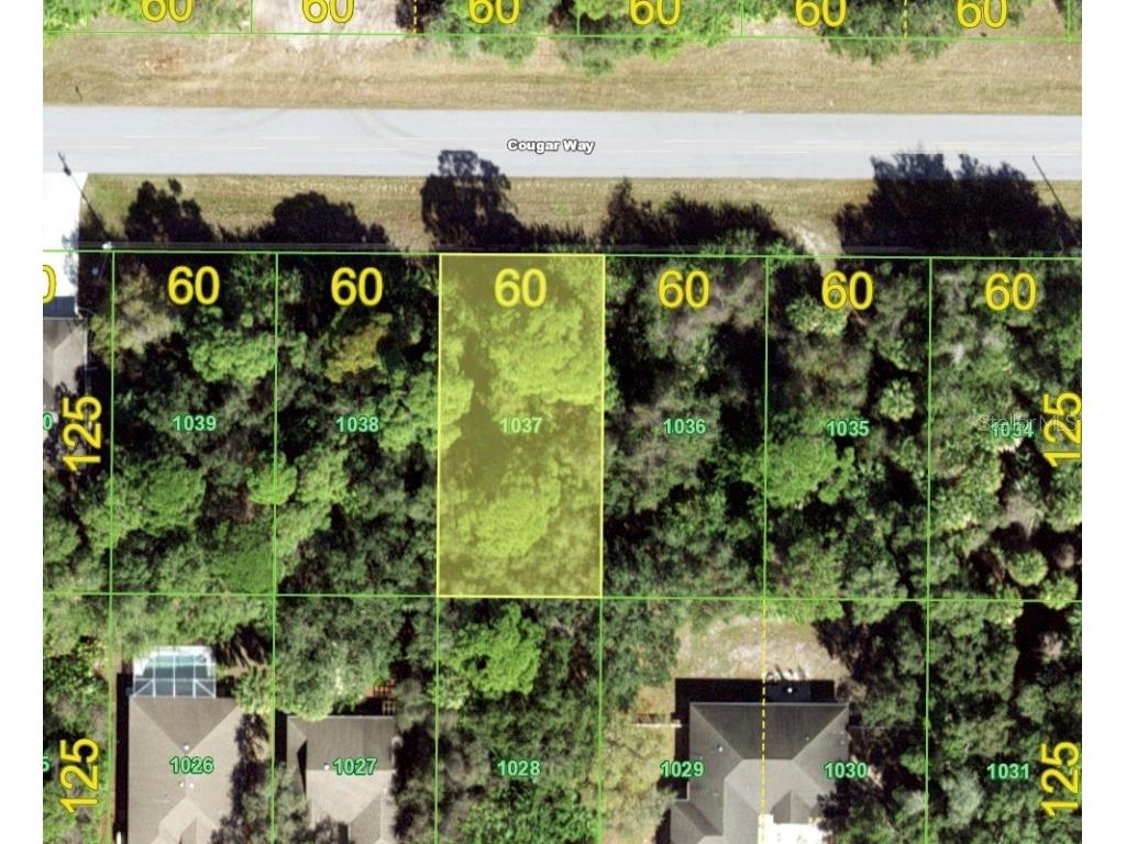 215 Cougar Way Rotonda West FL 33947 D6127408 image1