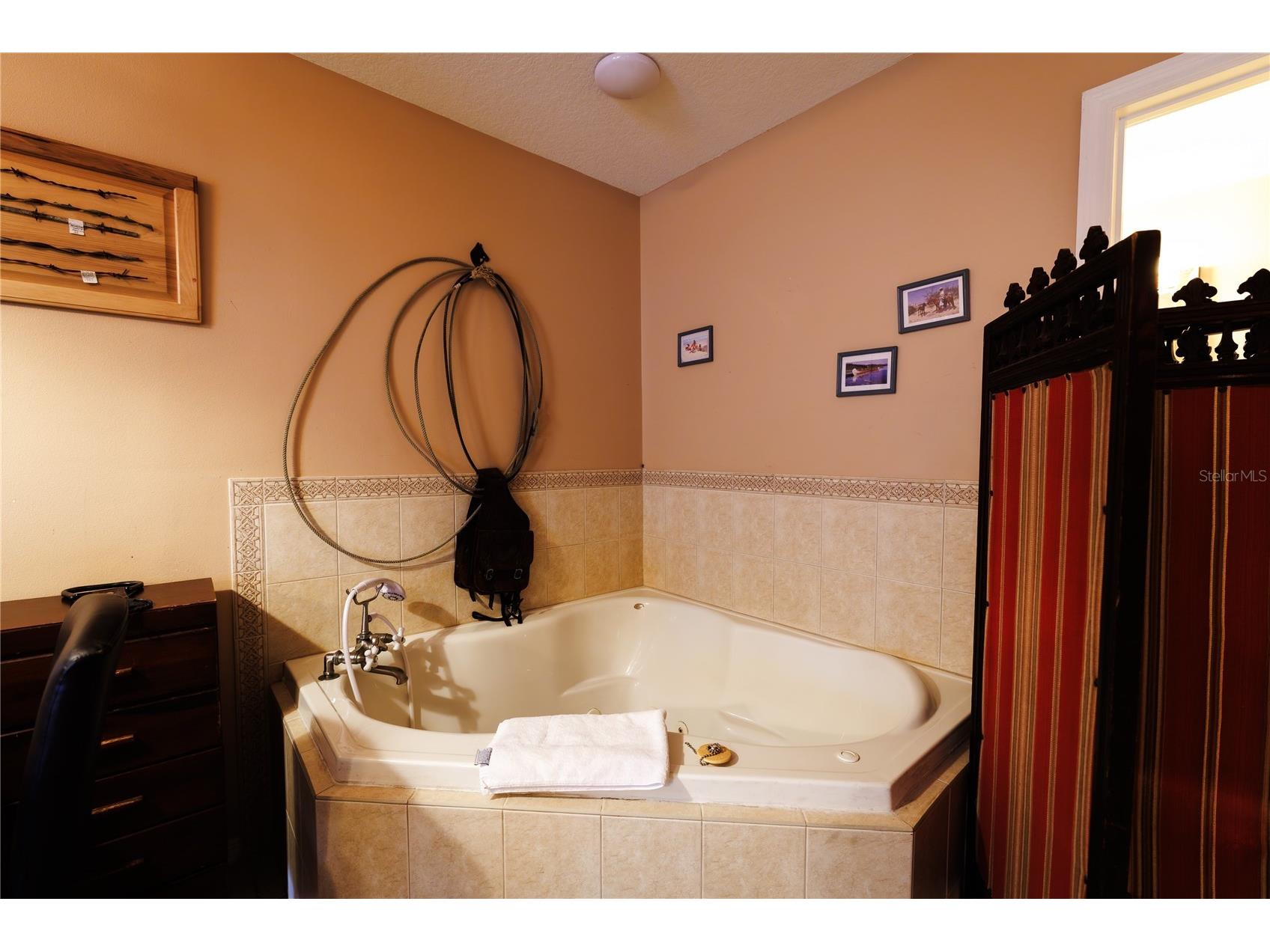 215 E French Avenue Orange City FL 32763 O6397696 image82