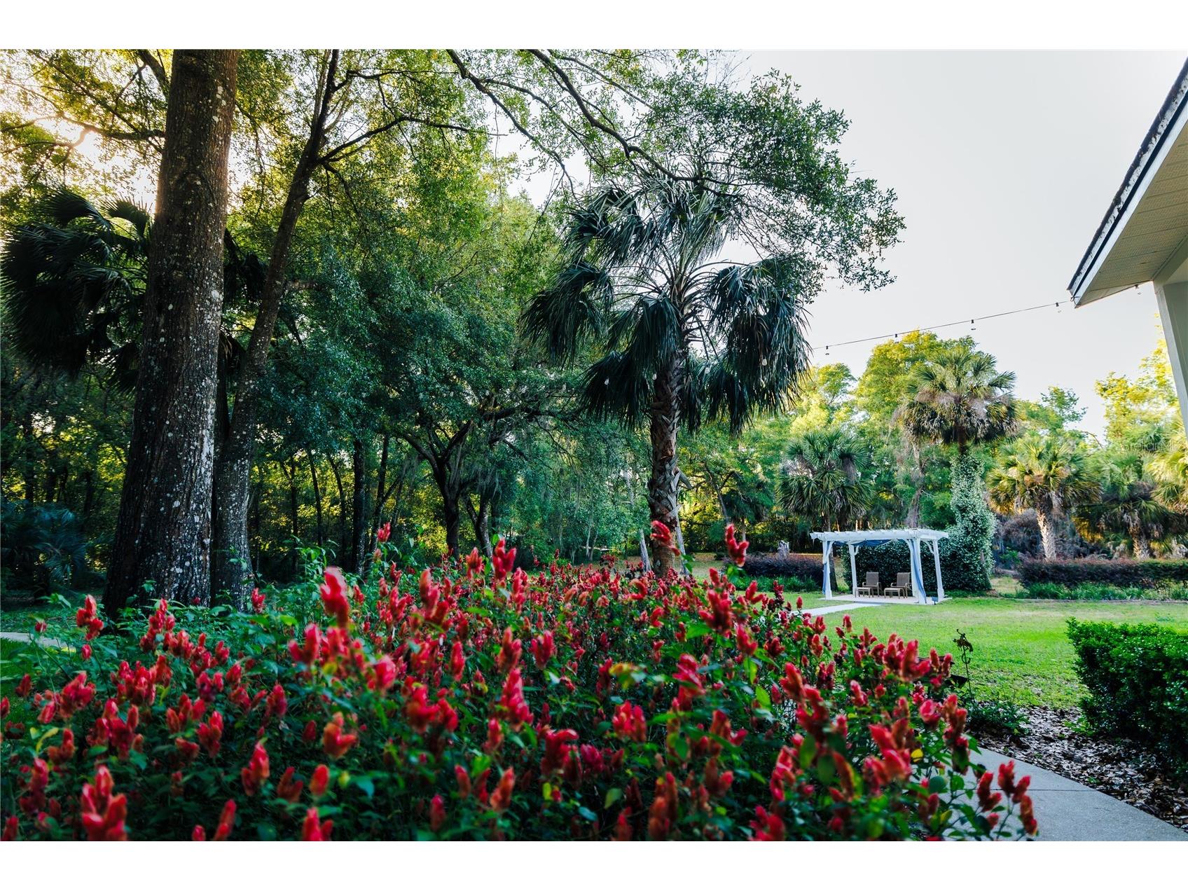215 E French Avenue Orange City FL 32763 O6397696 image87