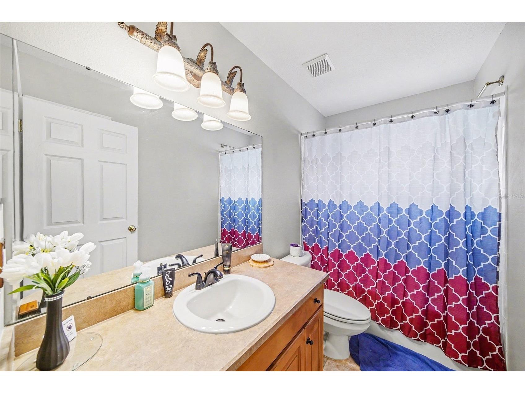 215 Fern Gulley Drive Seffner FL 33584 TB8469407 image10