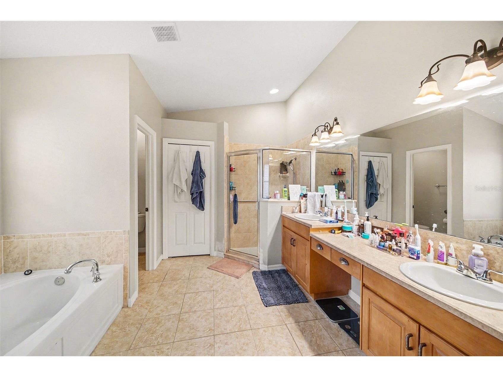215 Fern Gulley Drive Seffner FL 33584 TB8469407 image12