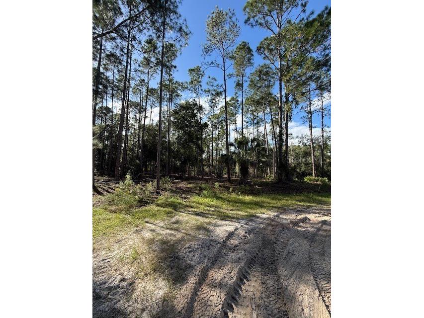 215 Hideaway Lane Georgetown FL 32139 V4949730 image2