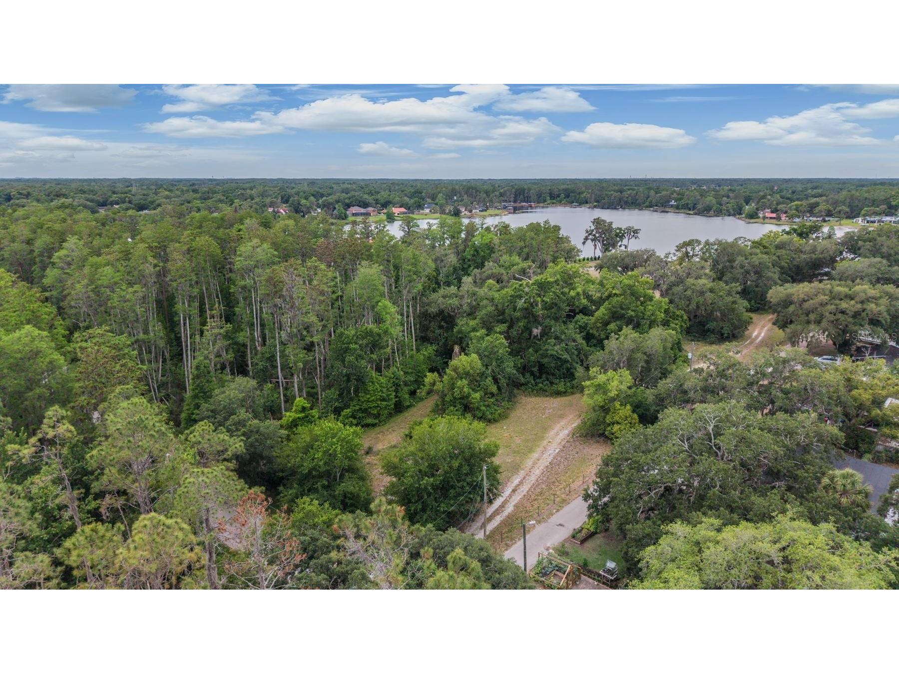 215 Lake Brant Drive Lutz FL 33548 - LAKE BRANT TB8503793 image11