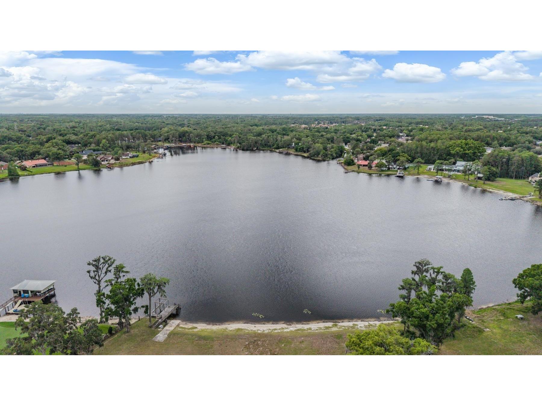 215 Lake Brant Drive Lutz FL 33548 - LAKE BRANT TB8503793 image18