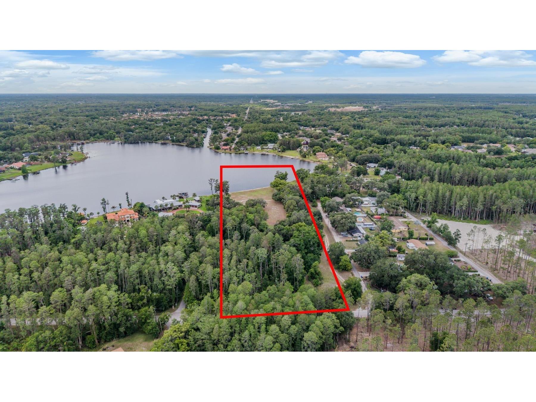 215 Lake Brant Drive Lutz FL 33548 - LAKE BRANT TB8503793 image2