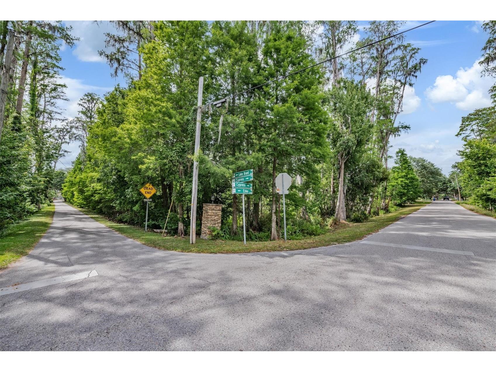 215 Lake Brant Drive Lutz FL 33548 - LAKE BRANT TB8503793 image22