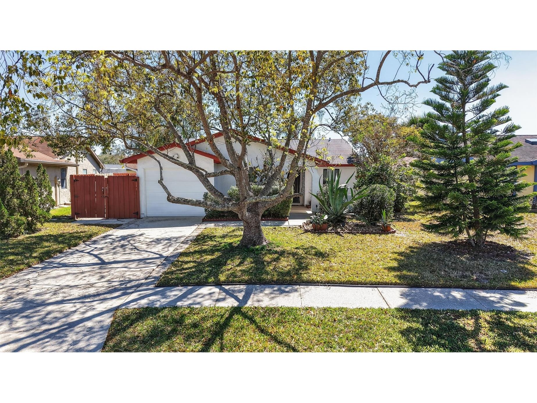 215 Lake Charles Court Oldsmar FL 34677 TB8477730 image1
