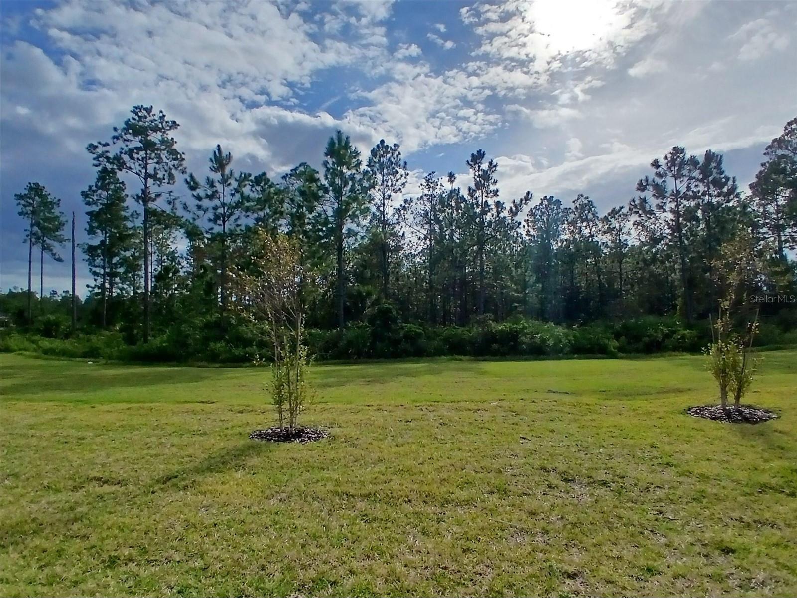 215 Montgomery Court Palm Coast FL 32164 FC310279 image18