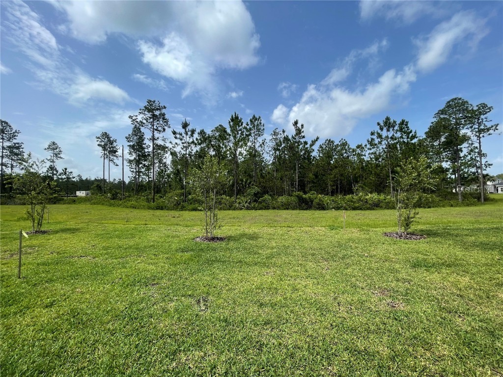 215 Montgomery Court Palm Coast FL 32164 FC310279 image28