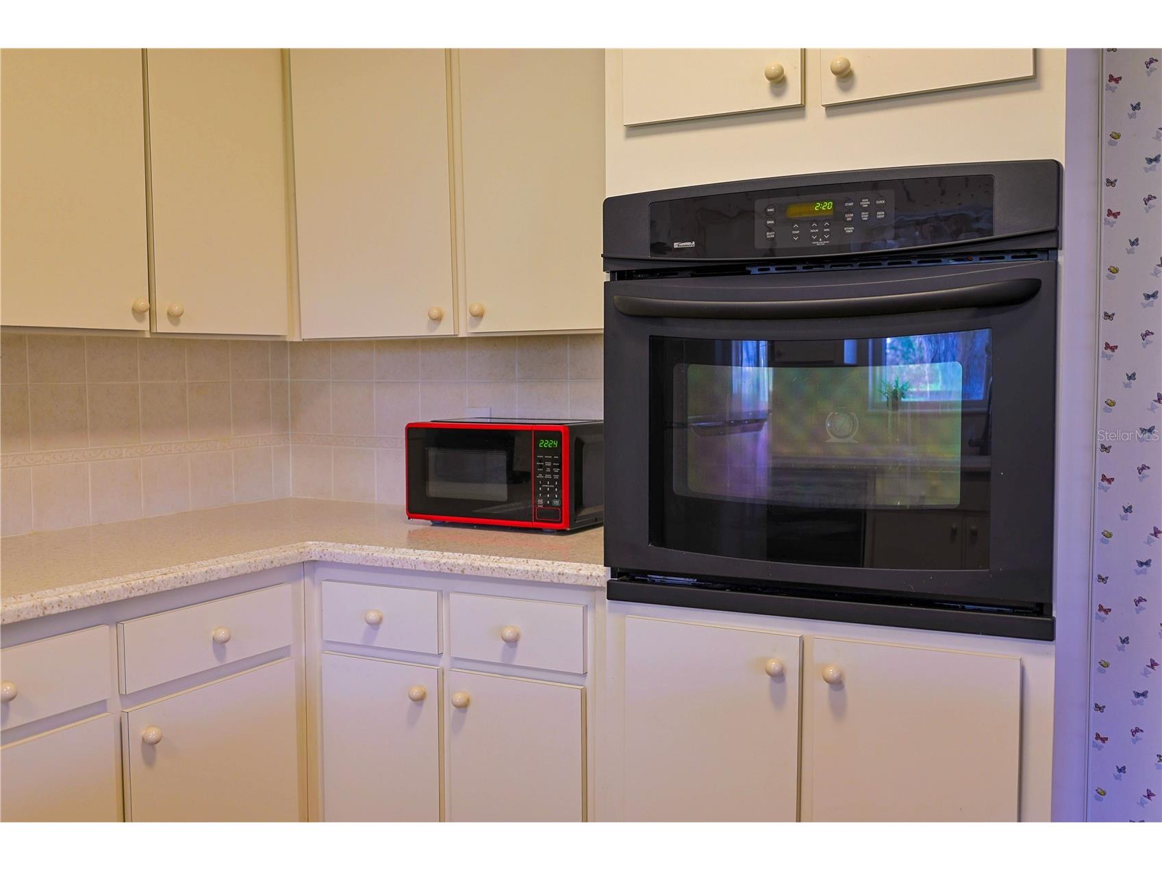 215 Morningside Drive Valrico FL 33594 TB8485689 image10