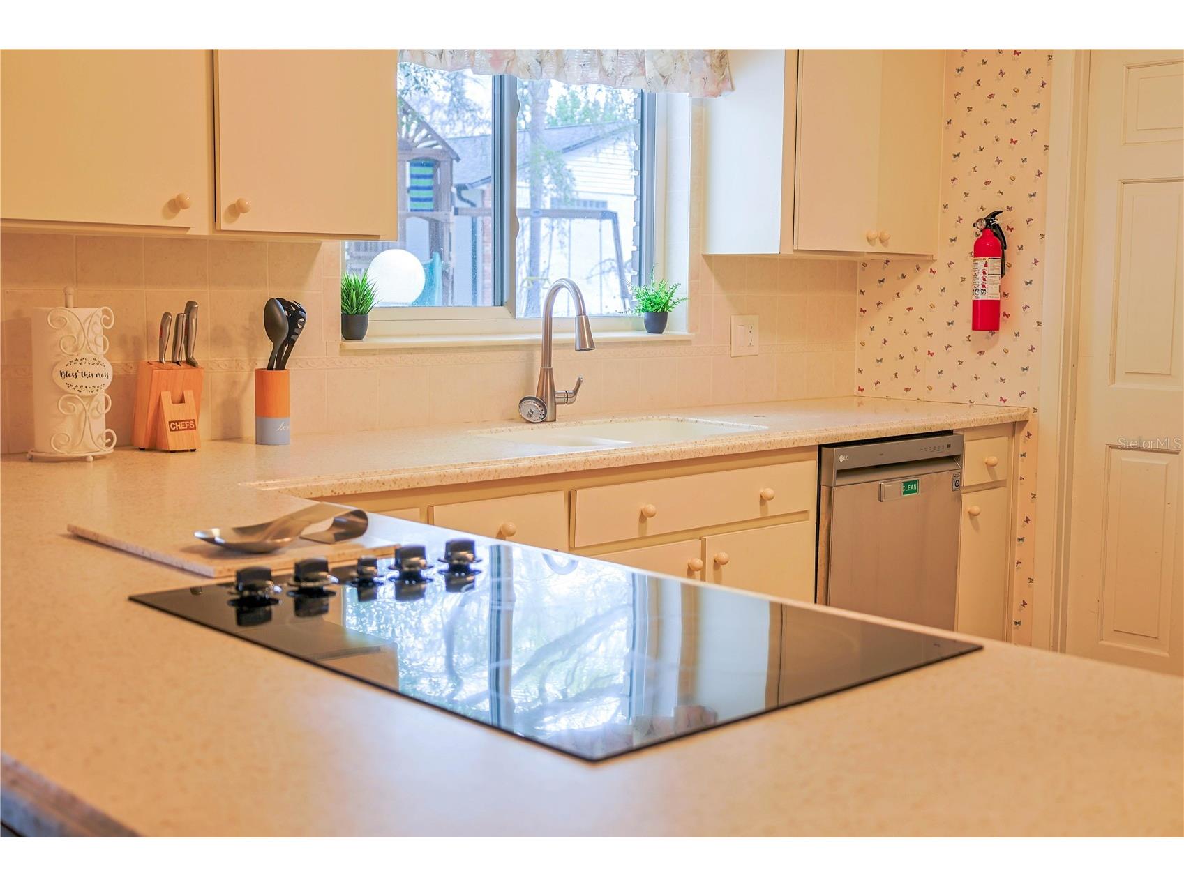 215 Morningside Drive Valrico FL 33594 TB8485689 image13