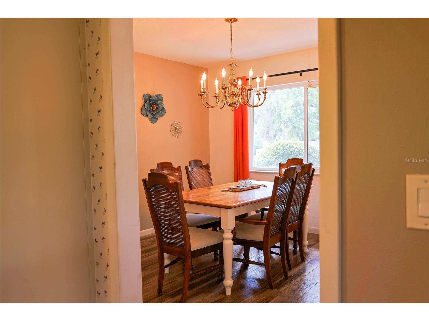 215 Morningside Drive Valrico FL 33594 TB8485689 image23