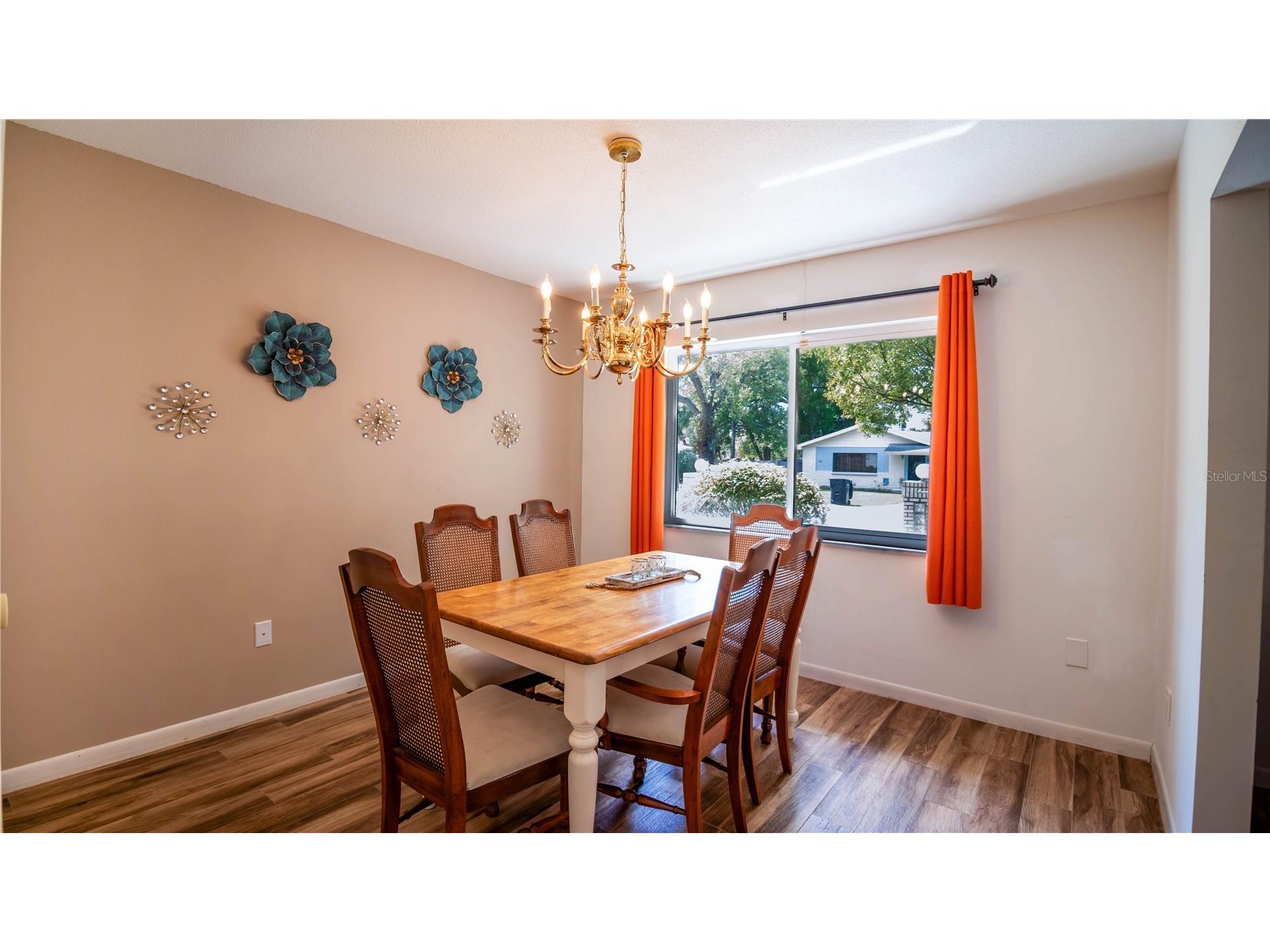 215 Morningside Drive Valrico FL 33594 TB8485689 image24