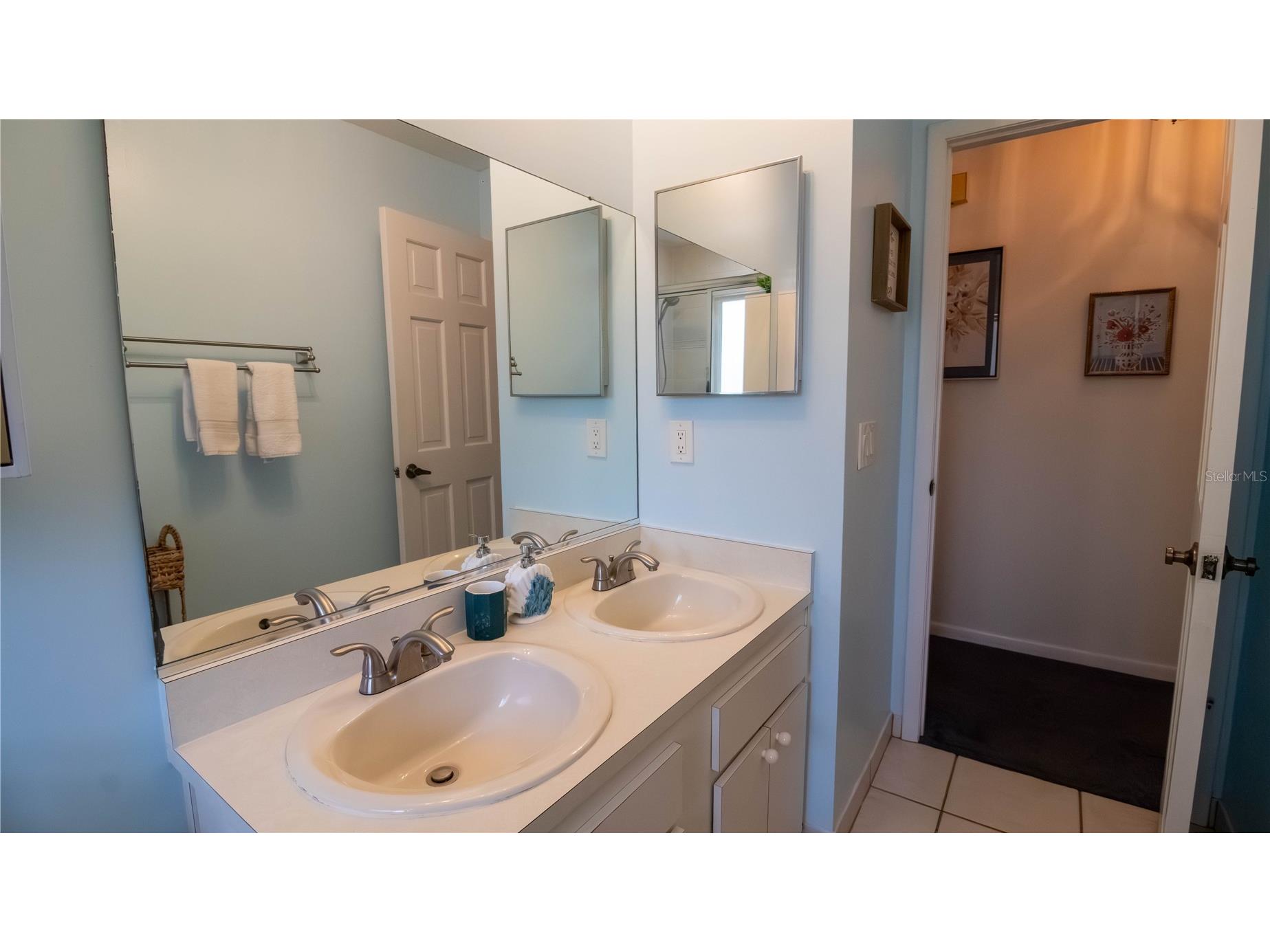 215 Morningside Drive Valrico FL 33594 TB8485689 image42