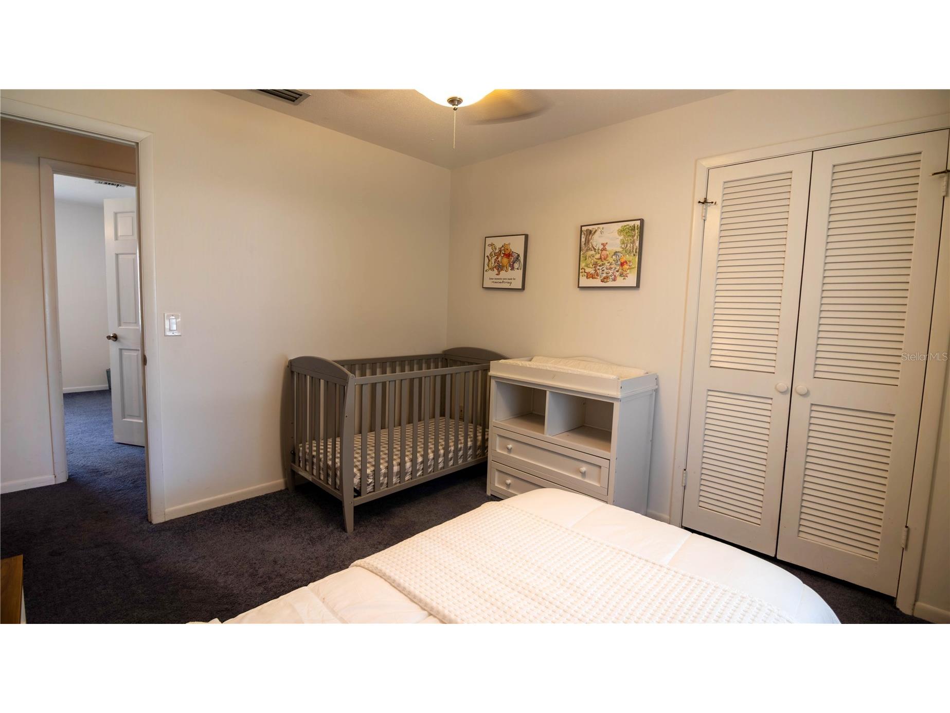 215 Morningside Drive Valrico FL 33594 TB8485689 image44