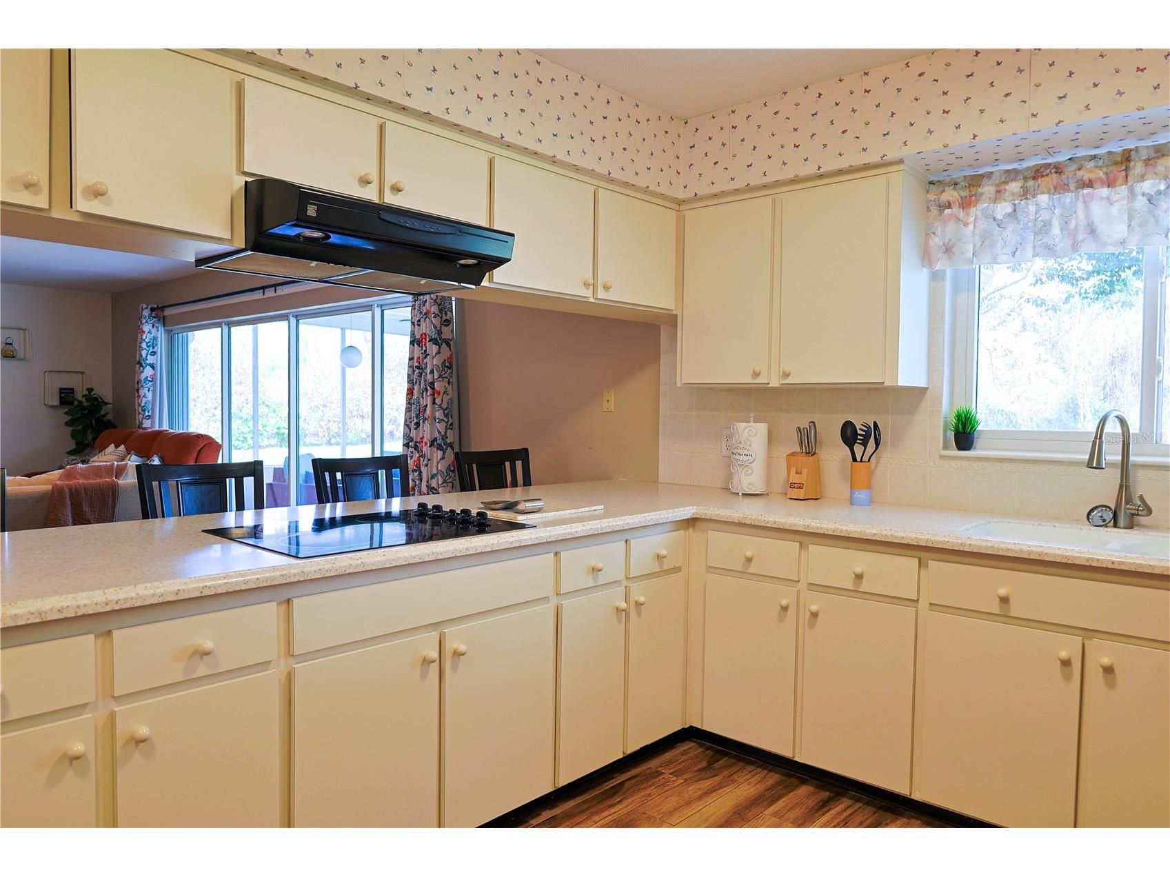 215 Morningside Drive Valrico FL 33594 TB8485689 image7