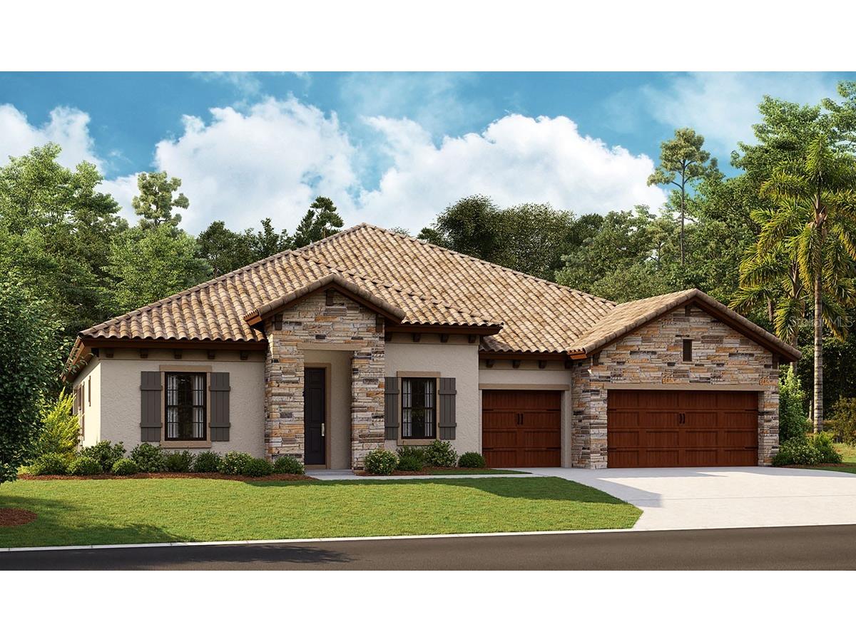 215 Mossy River Court Brandon FL 33511 T3399445 image1