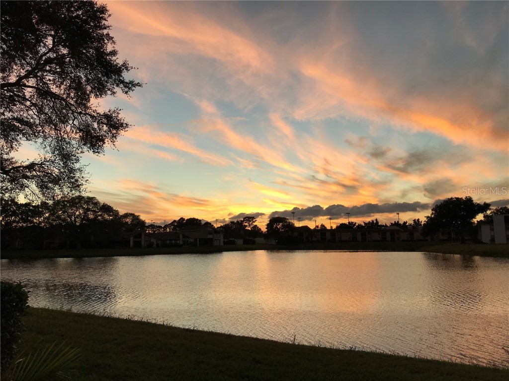 215 Nina Way Oldsmar FL 34677 TB8375920 image1