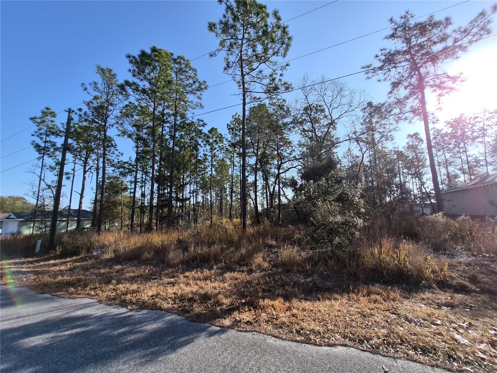 215 Oak Lane Circle Ocala FL 34472 OM718917 image1