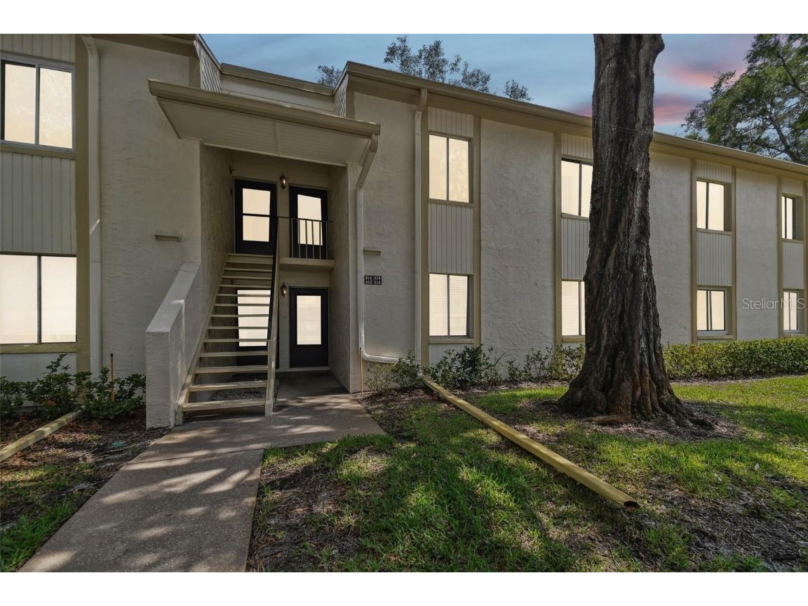 215 Palmetto Court #215 Oldsmar FL 34677 U8206216 image1