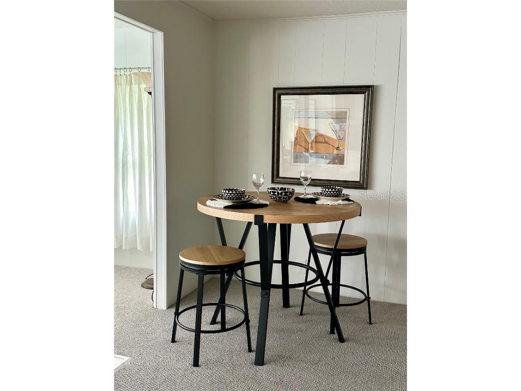 215 Red Maple Drive Palm Harbor FL 34684 TB8405281 image10